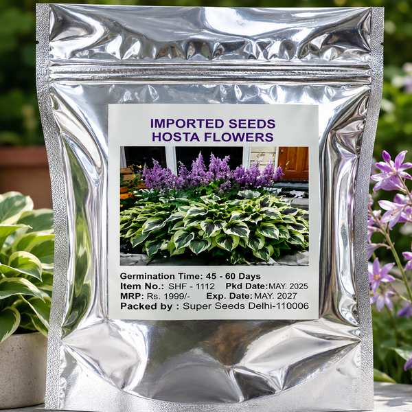 "Shade-Tolerant and Cold-Hardy Hosta Flowers Seeds"