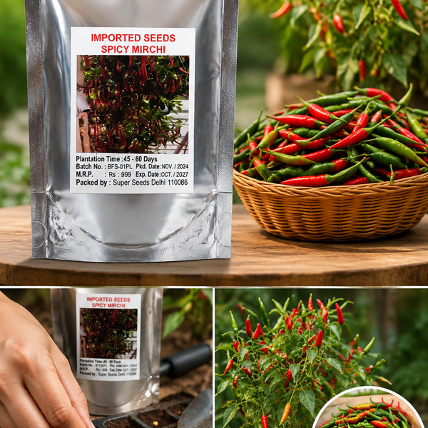 Hybrid Chilli Seeds